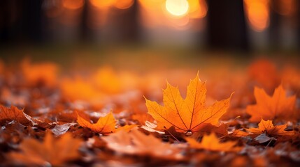 Fall foliage on the ground with bokeh effect