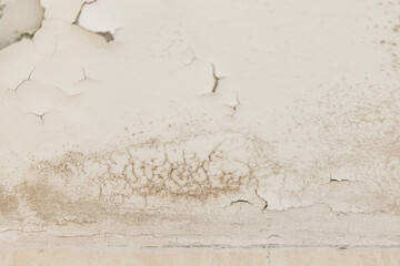 Wall and ceiling of a house with damp, fungus, mold and peeling. Concept of condensation, damage,...