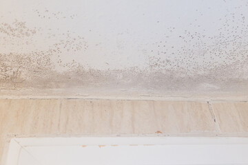 Wall and ceiling of a house with damp, fungi and mold. Concept of condensation, damage, house, leak, humidity, bathroom, repair, sanitation, respiratory virus and fix.