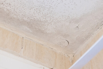 Wall and ceiling of a house with damp, fungus, mold and peeling. Concept of condensation, damage, house, leak, humidity, bathroom, repair, sanitation, respiratory virus and fix.
