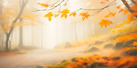 Naklejka na ściany i meble Autumn in the forest