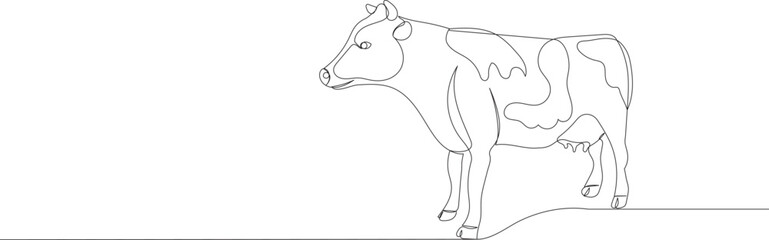 cow sketch, line drawing, on a white background, vector