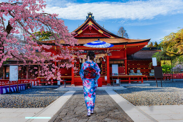Cherry Blossoms of Shrine"FUJISAN HONGU SENGENTAISHA " Fujinomiya City Japan