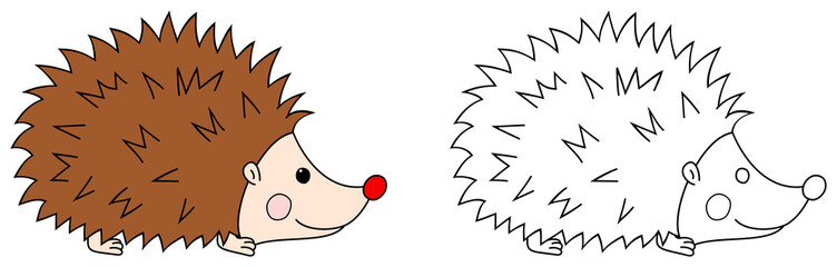 Cartoon hedgehog colorful and boutline. Coloring book page for children. 