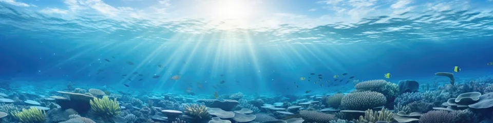 Poster Im Rahmen World ocean wildlife landscape, sunlight through water surface with coral reef on the ocean floor, natural scene. Abstract underwater background © ratatosk