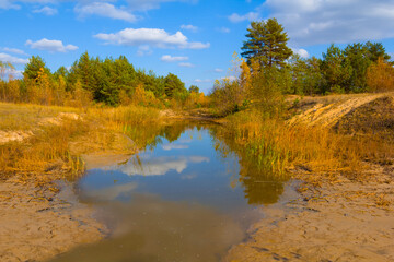 Fototapeta premium small lake with sandy coast in the forest forest, beautiful summer outdoor scene