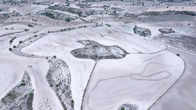 Crop fields and junipers (Juniperus thurifera). Aerial view from a drone on the steppe of the Los Monegros region. Saragossa province. Aragon. Spain. Europe
