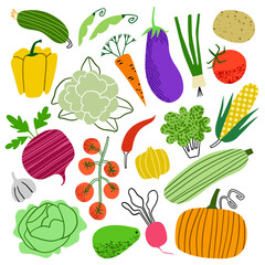 Vegetables hand drawn doodle vector icon set  - 656447801