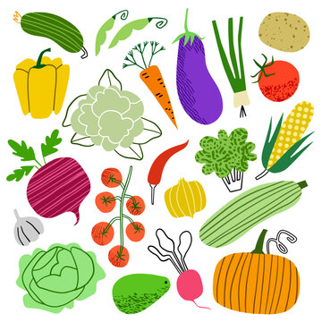 Vegetables hand drawn doodle vector icon set 