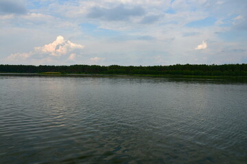 A close up on a coast of a vast yet shallow river covered with reeds with some trees, shrubs, and flora scattered around located next to a pier, bridge, and a meadow or pastureland seen in Poland