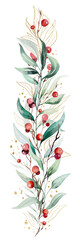 Christmas bouquet with watercolor twigs with green leaves and red berries. Holidays Illustration © katrinshine