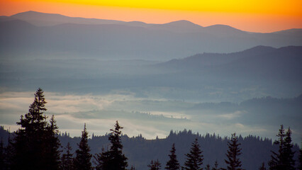 Morning fog in sunrise time in Carpathian mountains, Ukraine