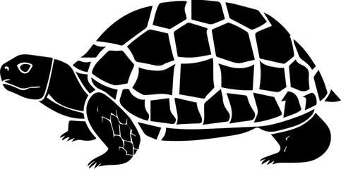 Gopher Tortoise icon 2