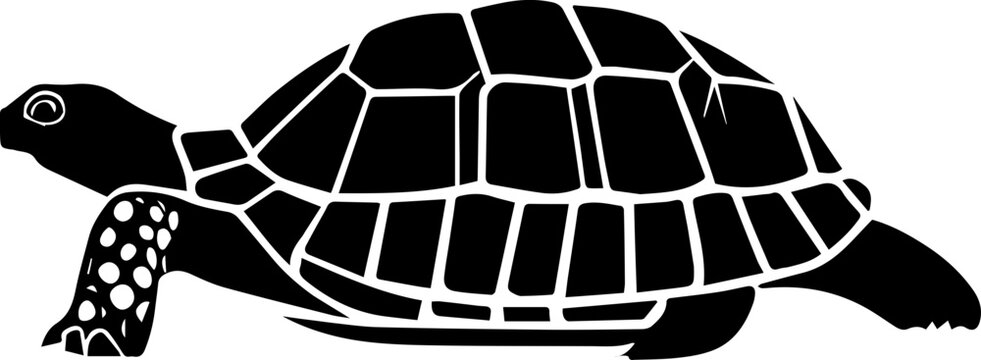 Gopher Tortoise icon 5