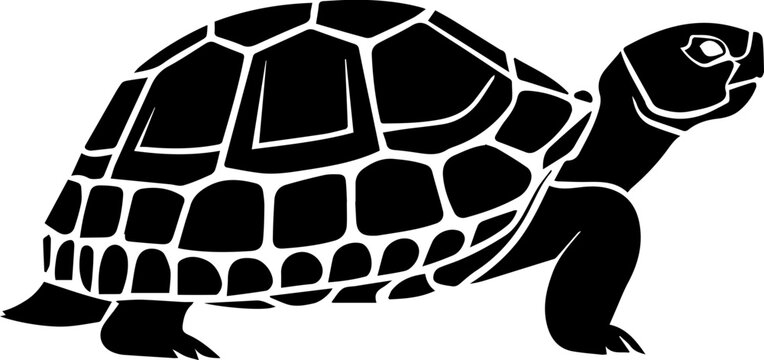 Gopher Tortoise icon 6