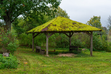 An old canopy overgrown with moss