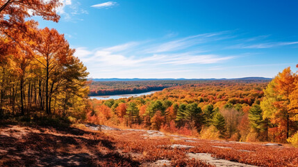 Autumn View of River and Forest