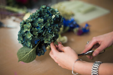 Florist making bouquet, holding beautiful blue hydrangea flower