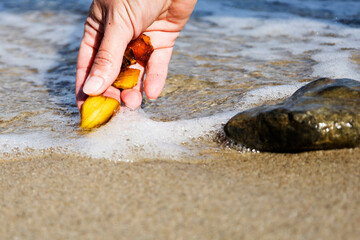 Beautiful pieces of amber in the hand of the sea background. A glowing wavy piece of amber in the palm of your hand. The sunstone.