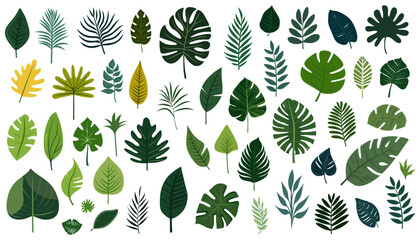 Naklejka na ściany i meble Collection of tropical leaves. Set flat isolated elements on a white background. Vector illustration