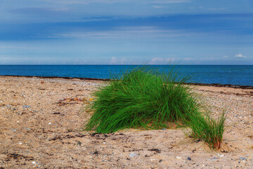 Fehmarn