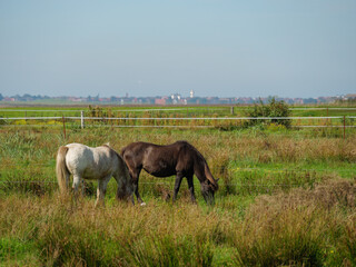 Obraz premium Die Insel Langeoog