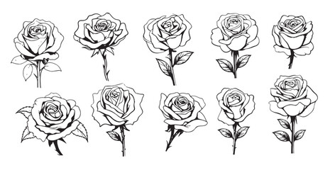 Roses set hand drawn sketch Flowers .Vector illustration Nature © BigJoy
