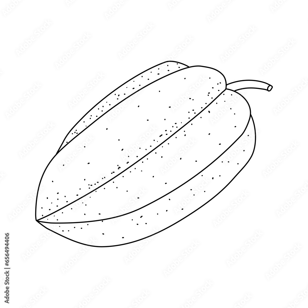 Poster Carambola Star fruit doodle isolated on white background, hand drawn starfruit design element