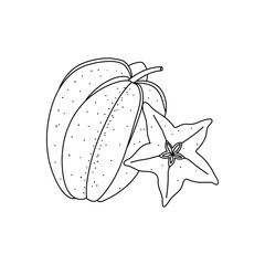 Carambola Star fruit doodle isolated on white background, hand drawn starfruit design element
