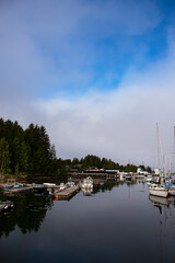 Fototapeta na wymiar Small, remote maritime town of Tofino on western coast of Vancouver Island, British Columbia, Canada