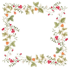 Hand drawn watercolor illustrations. Botanical clipart ( frames, leaves, flowers, swirls, herbs, branches). Floral Design elements. Cloudberry, lingonberry, cranberry