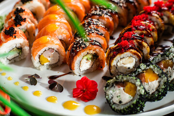 Sushi Set. Rolls, sushi of different types on a plate.