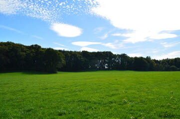 Fototapeta premium Inspiration durch Natur