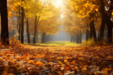 Naklejka na ściany i meble Autumns beauty: yellow trees, sun, falling leaves, vibrant foliage backdrop