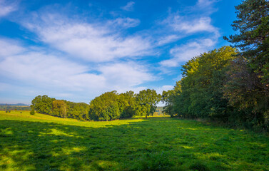 Obraz premium Fields and vegetables in a green hilly landscape in sunlight in autumn, Voeren, Limburg, Belgium, September 2023