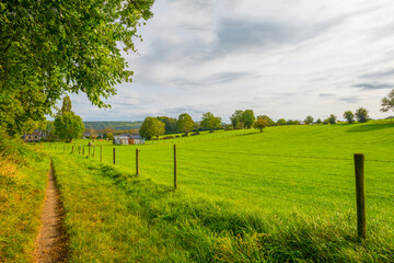 Fototapeta na wymiar Fields and vegetables in a green hilly landscape in sunlight in autumn, Voeren, Limburg, Belgium, September 2023