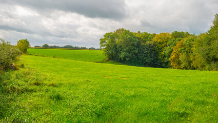 Fototapeta na wymiar Fields and vegetables in a green hilly landscape in sunlight in autumn, Voeren, Limburg, Belgium, September 2023