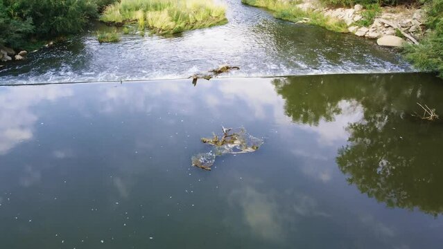Weber River Ogden Utah Woods and Trail 