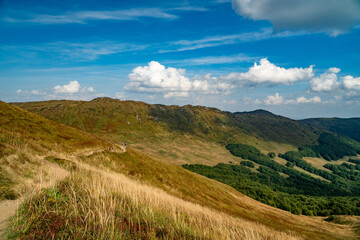 Fototapeta premium A mountain range in the Bieszczady Mountains in the area of Tarnica, Halicz and Rozsypaniec.