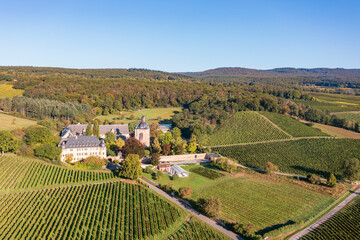 Bird's eye view of Vollrads Castle in the middle of vineyards near Oestrich-Winkel/Germany in the Rheingau in autumn