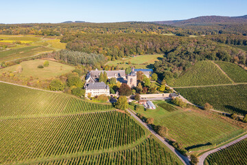 Bird's eye view of Vollrads Castle in the middle of vineyards near Oestrich-Winkel/Germany in the...