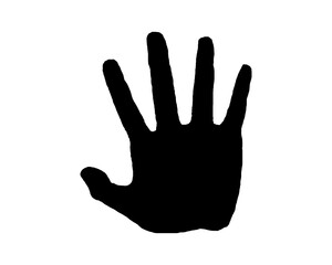 hand isolated on white background