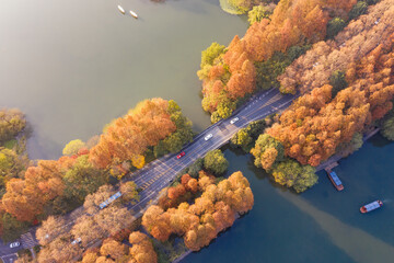 autumn in the city