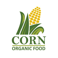 corn cob emblem isolated on white background