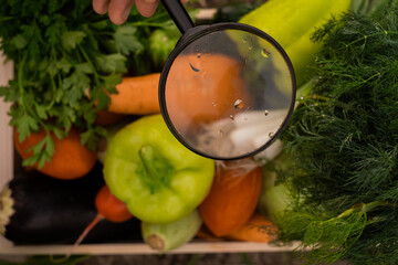 farmer holding a crate of bio vegetables in the farm. Happy man showing box of harvested vegetables