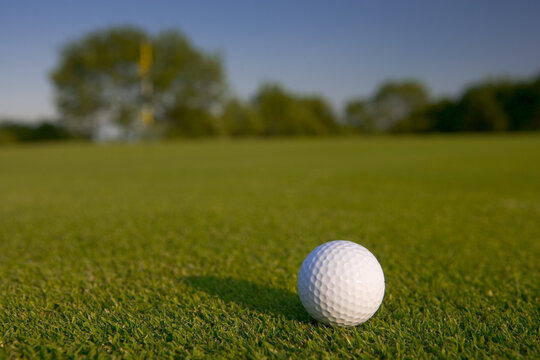 Golf ball on Stinchcombe Hill; nr Dursley; Gloucestershire; United Kingdom