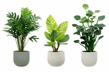 set of plant in a pot, Generative AI