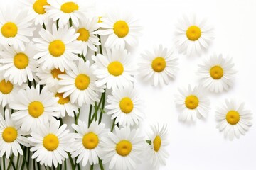 daisy flowers on white background, Generative AI