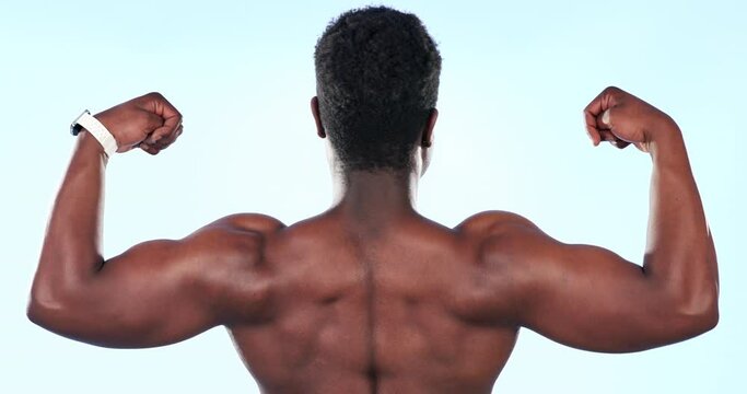 Strong, muscle and black man flexing biceps, bodybuilder in studio with back view and fitness on blue background. Exercise, training with bodybuilding champion, power with pride and wellness