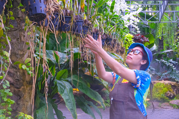Asian adult woman is tidying up the hanging orchids flowerpots in her home ornamental garden.